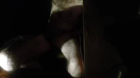 dario48 online show from December 13, 4:43 am