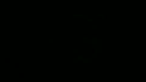 Daverz5 online show from December 16, 8:41 am