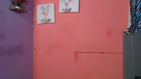 Noha online show from December 12, 1:17 pm