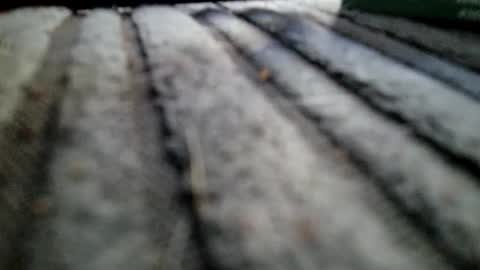 davros8621 online show from November 2, 1:15 pm