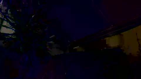 dayblue online show from March 1, 9:31 am