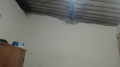 Dylon online show from November 9, 9:24 am