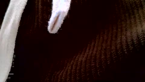 Dive Deep online show from December 2, 4:04 am