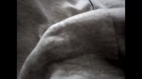 deliv_shopi online show from November 30, 2:08 pm