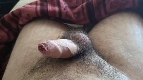 LilRoach online show from October 1, 12:42 pm