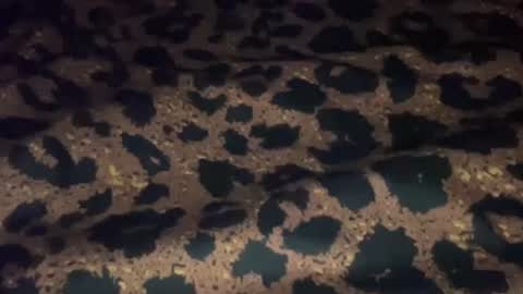 derek829099 online show from September 11, 6:56 am