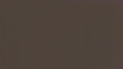 desiboi9 online show from September 26, 12:19 am