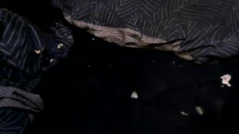 Jonathan online show from January 21, 11:34 pm