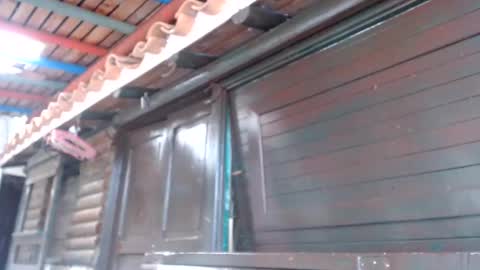 Deybid online show from December 5, 2:22 pm