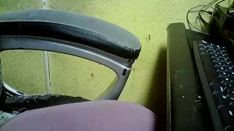 didyoujustseethat online show from December 3, 7:19 am