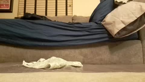 dildosnme22 online show from January 11, 5:10 am