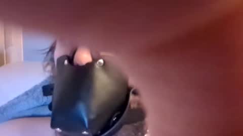 Snapshot of dirtydogsday chatting on January 15, 6:40 pm Dirtydog online show from January 15, 6:40 pm