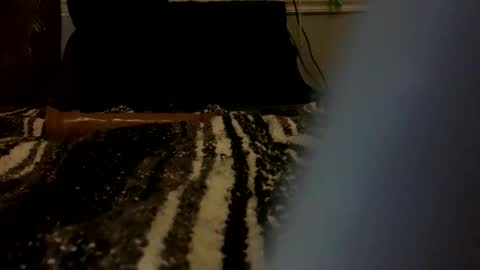 dlpbttm87 online show from April 20, 12:13 am