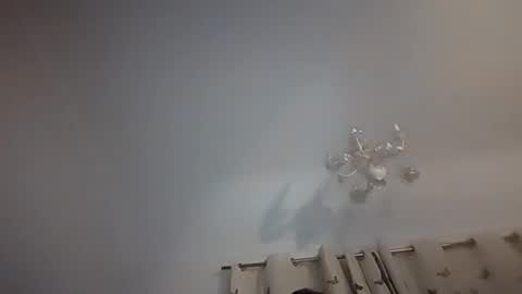 doveyfinn88 online show from February 23, 12:56 am