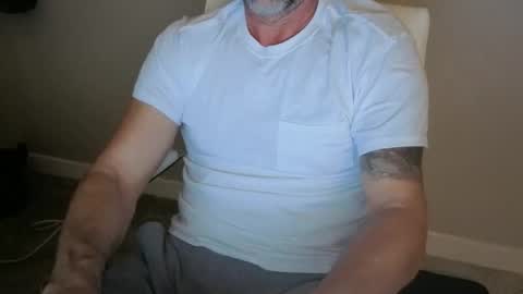 D Ship online show from November 10, 8:52 am