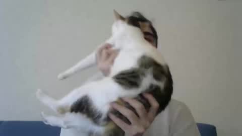 The Dark Knight online show from February 9, 6:29 am