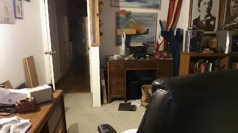 durablewood3 online show from December 29, 8:11 am