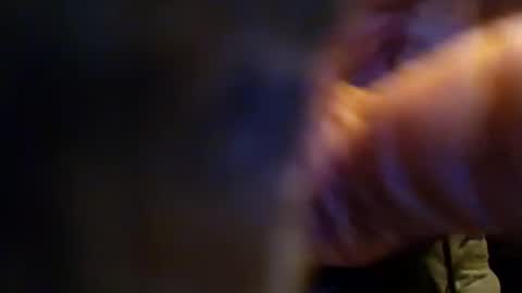 Snapshot of dusterdime chatting on September 26, 2:37 pm dusterdime online show from September 26, 2:37 pm