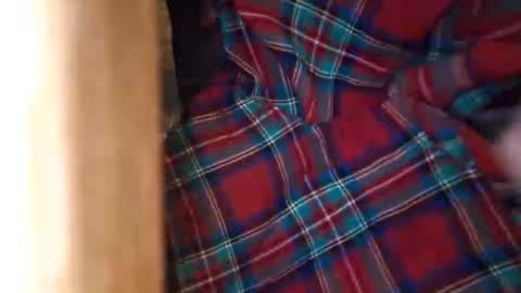 dVe1oPe online show from March 21, 9:25 am