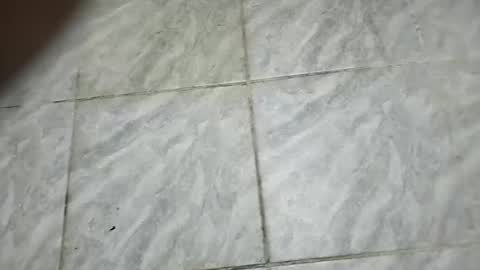 dxb11111 online show from January 6, 6:39 am