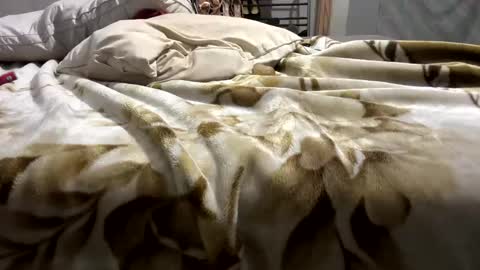 Snapshot of dyno1335 chatting on September 29, 8:13 am dyno1335 online show from September 29, 8:13 am