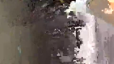 edvmendez1766 online show from November 2, 5:06 pm