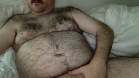 elabear online show from June 22, 5:24 am