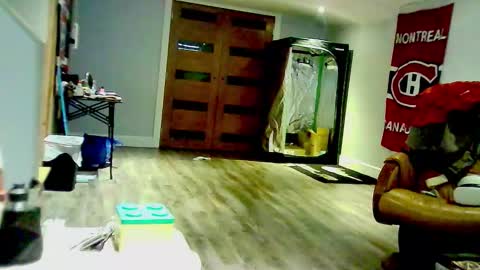 Elpouro online show from February 28, 4:50 pm