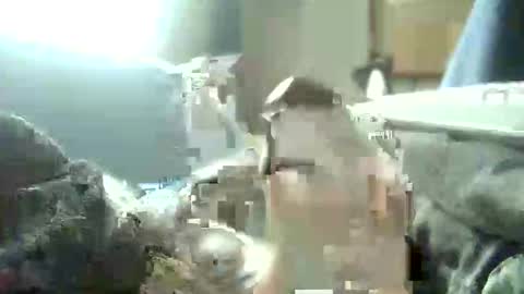 encormoi online show from November 10, 8:52 am