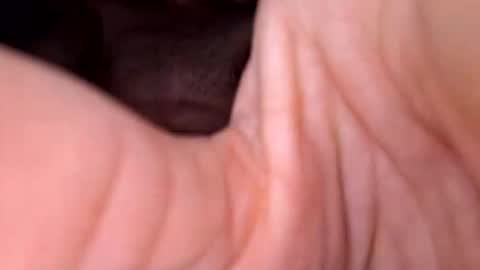 Exhibboytoy3 online show from March 24, 7:24 am