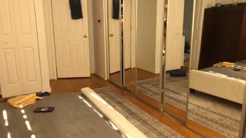 exhibitp online show from February 9, 7:19 pm