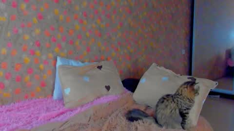 exxry online show from December 1, 12:30 pm