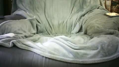 Grant something something something something something online show from January 10, 4:54 am