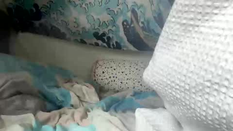 Snapshot of falcon797 chatting on February 10, 12:18 pm falcon797 online show from February 10, 12:18 pm