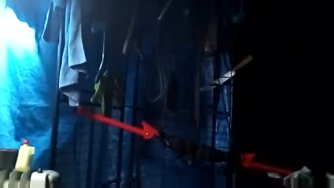 Snapshot of fallguyb1875150 chatting on October 20, 2:54 pm fallguyb1875150 online show from October 20, 2:54 pm