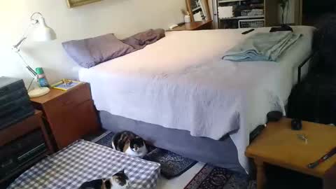 KingT online show from April 19, 10:04 am