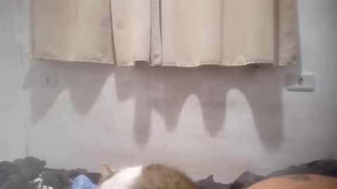 fernandesbentolucas173 online show from January 9, 7:13 am