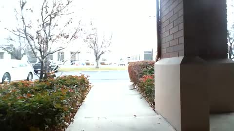 pain slut daren online show from December 16, 5:33 pm