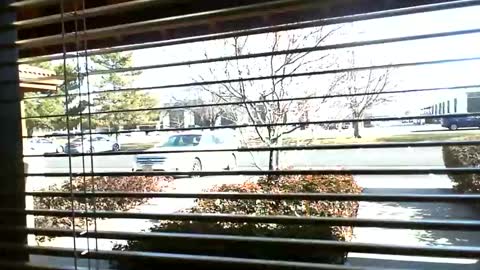 pain slut daren online show from January 9, 7:08 pm