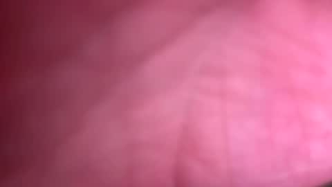 fittallhungdilf online show from December 20, 3:42 pm