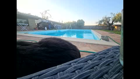 fra  71 online show from April 19, 5:07 am