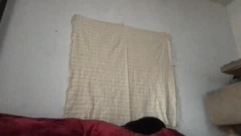 Freddy Foot Balls online show from April 12, 11:05 pm