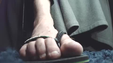 Greedy Fred online show from February 3, 2:53 am