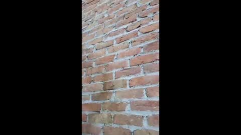 Fuckerrkapil online show from January 12, 1:37 pm