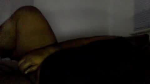 funleaf online show from April 4, 10:23 am