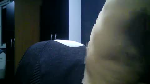 gauchors21 online show from January 17, 2:47 am