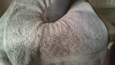 Gellicoe online show from April 16, 12:38 pm