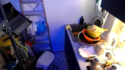 georgempt online show from January 10, 6:20 am