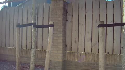   online show from March 3, 11:27 am