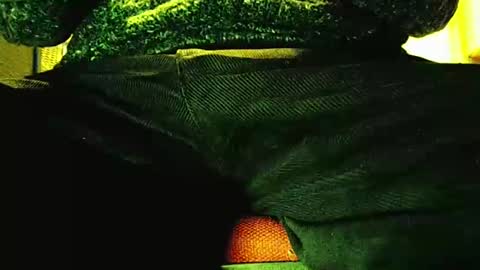 grapefruit online show from January 5, 9:05 am